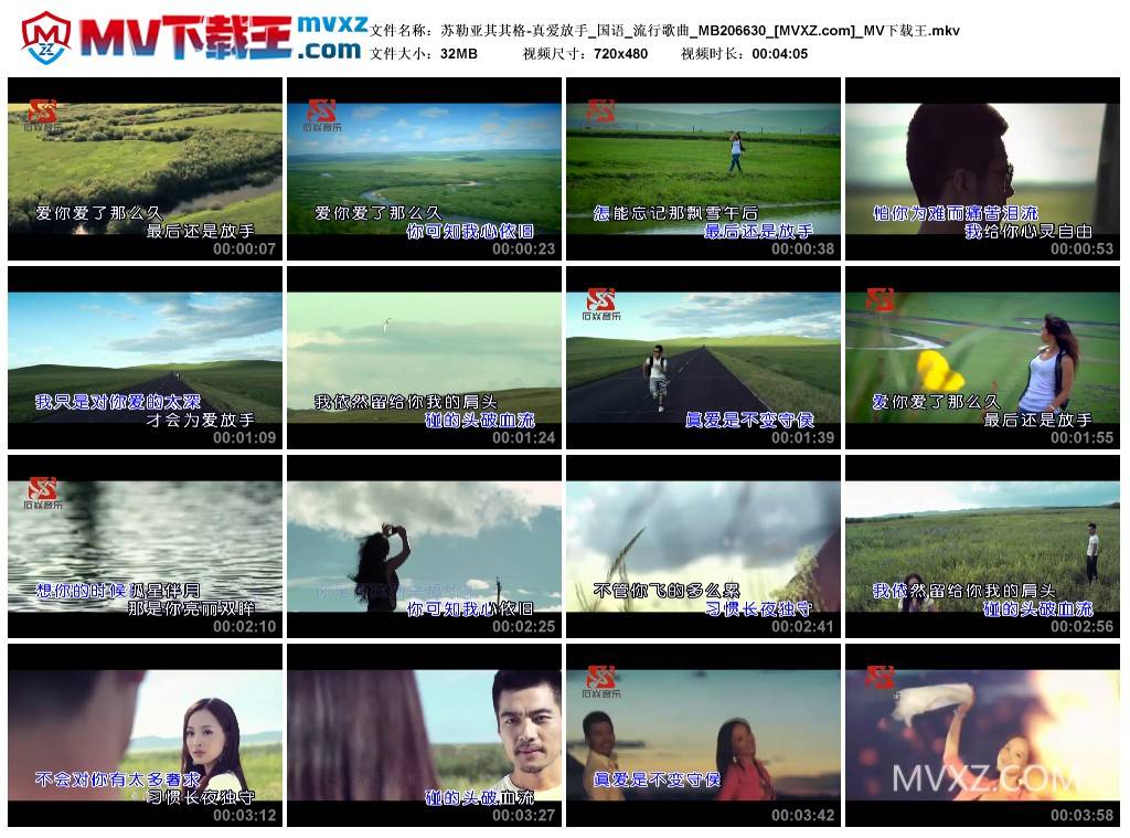 苏勒亚其其格-真爱放手_国语_流行歌曲_MB206630